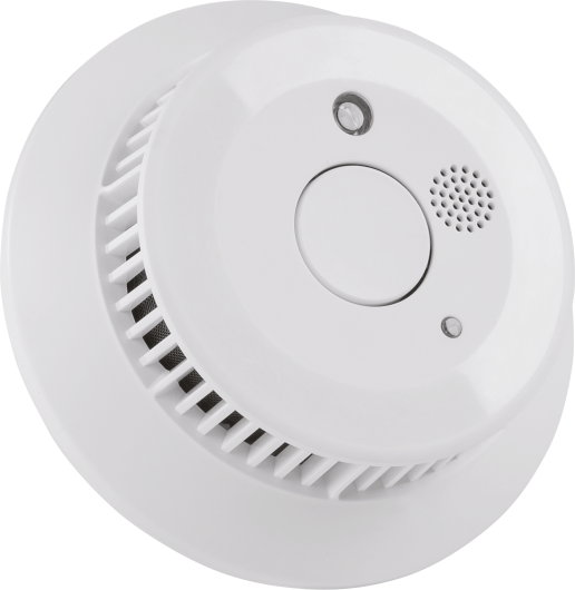 Smoke Alarm RM201