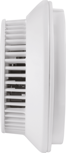 Smoke Alarm RM201