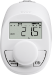 Radiator Thermostat Model N